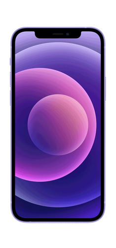Apple iPhone 12 image