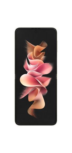 Samsung Galaxy Z Flip3 image